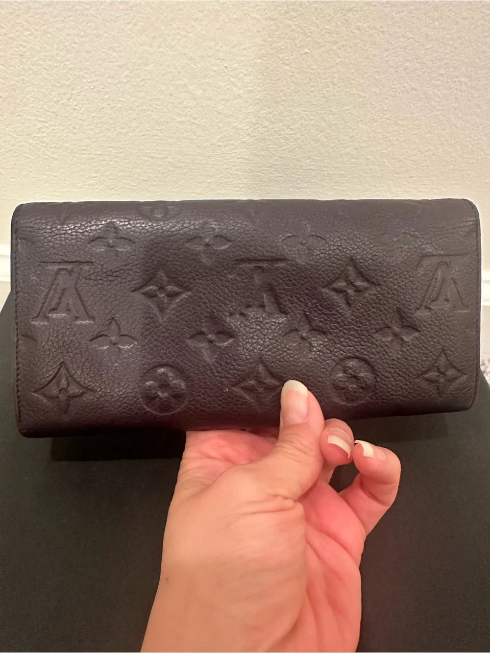 Louis Vuitton Empreinte Wallet & Pouch